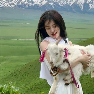 西线无战事